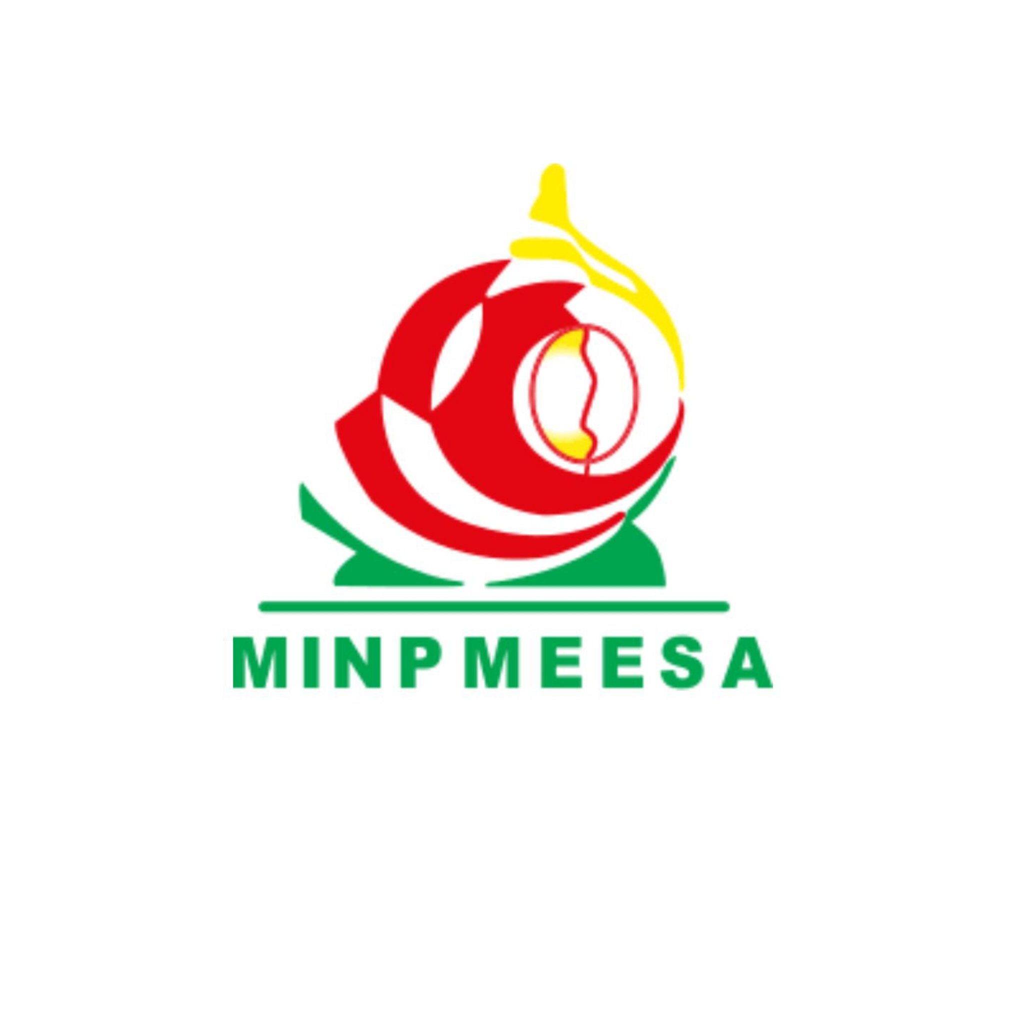 Logo MINPMEESA
